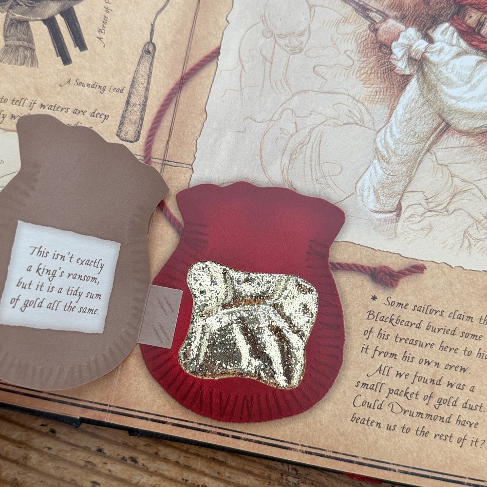 🏴‍☠️PIRATEOLOGY Interactive Book - Picture 13 of 17